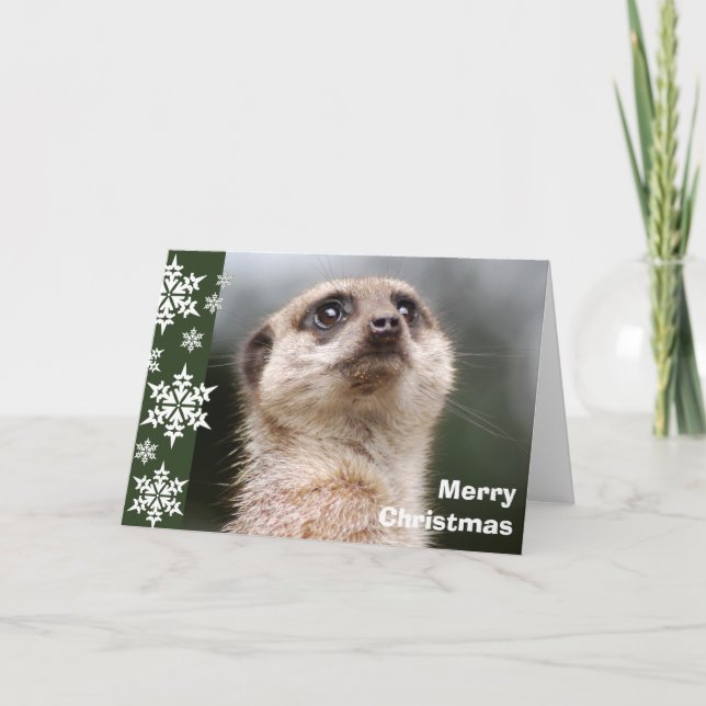 Alert Meerkat Weihnachtskarte Feiertagskarte (Vorderseite)