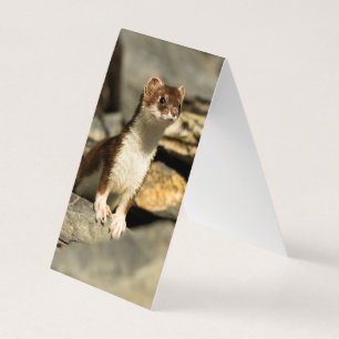 Alert Weasel
