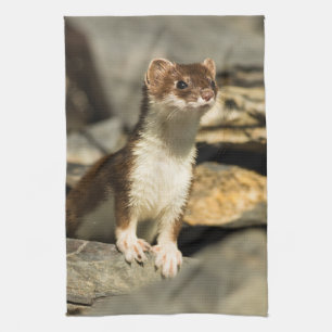 Alert Weasel Geschirrtuch