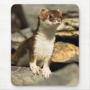Alert Weasel Mousepad