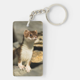 Alert Weasel Schlüsselanhänger