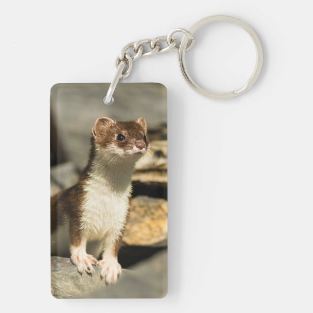Alert Weasel Schlüsselanhänger (Rückseite)