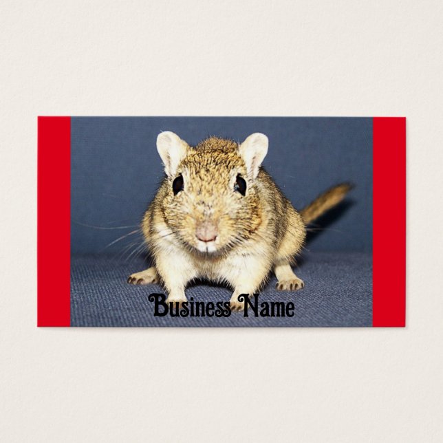 Alerte Carte de visite Gerbil (Devant)