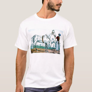 Alexander das Pferd, USA 1840 T-Shirt