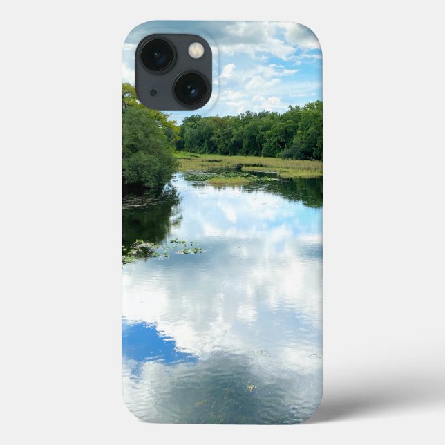 Alexander Spring Creek coques iphone (Verso)