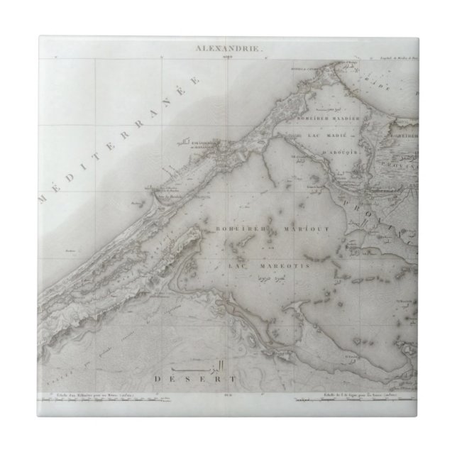 Alexandrie, Ägypten Fliese (Vorderseite)