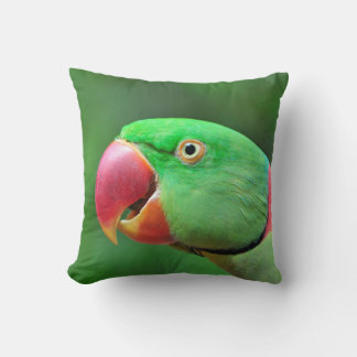 Alexandrine Parakeet Kissen