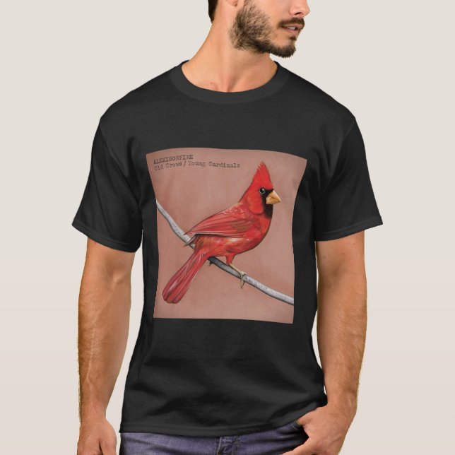 Alexisonfire ist ein kanadischer Postwurfkern1583p T-Shirt (Vorderseite)