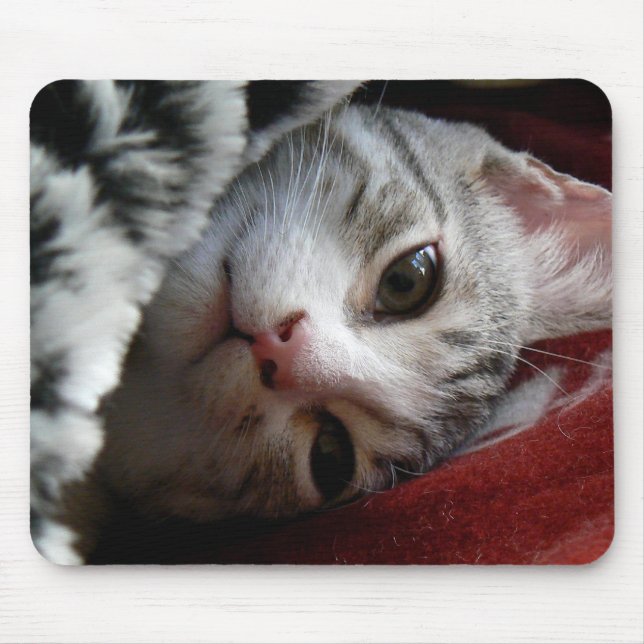 Alfie Mousepad (Vorne)