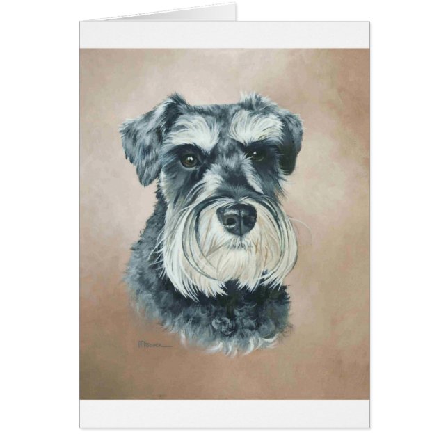 Alfie - Zwergschnauzer (Vorne)