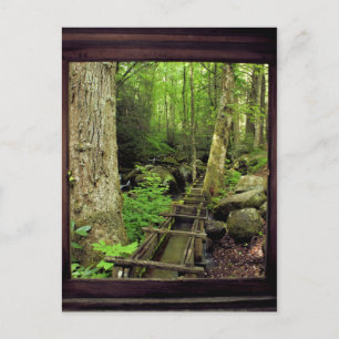 Alfred Reagans Mill Postkarte