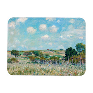 Alfred Sisley - Die Wiese Magnet