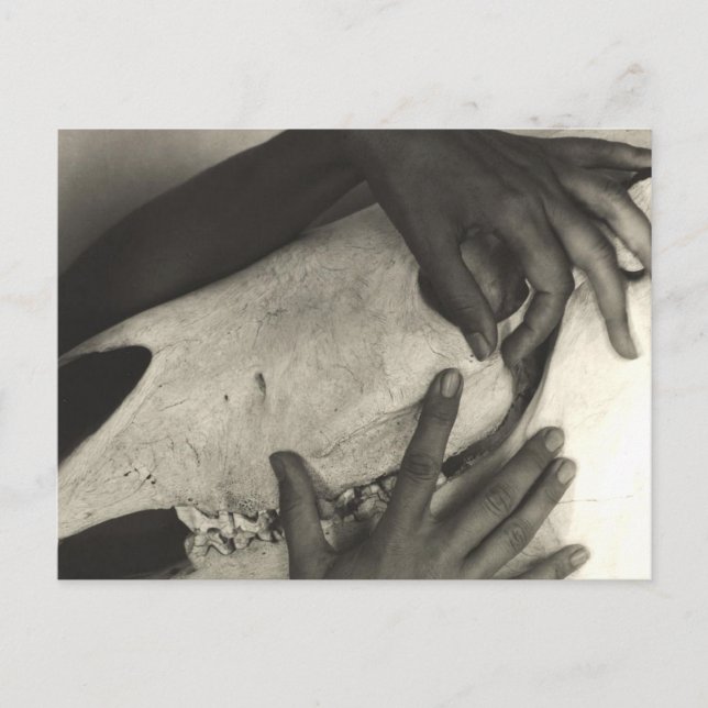 Alfred Stieglitz - Georgia O'Keeffe - Hände und Ho Postkarte (Vorderseite)