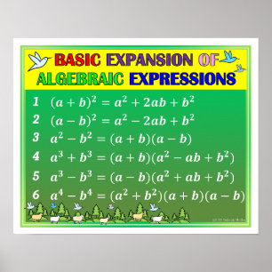 Algebra Math Classroom Poster - Grünwald
