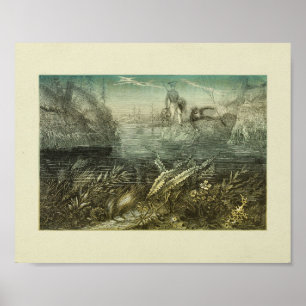 Algen Erntende Entdecker Farb-Kunststoffdruck Poster