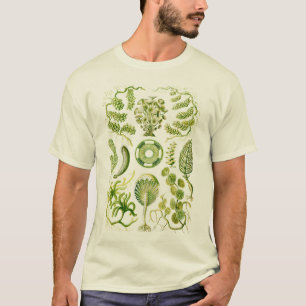 Algen T-Shirt