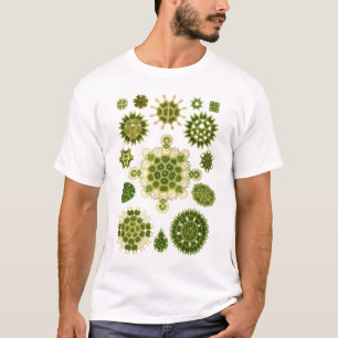 Algen T-Shirt
