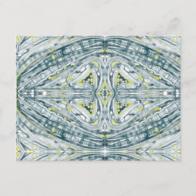 Algen unter Glas Postkarte (Vorderseite)