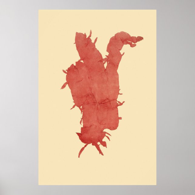 Algenvorschlaf von vier poster (Vorne)