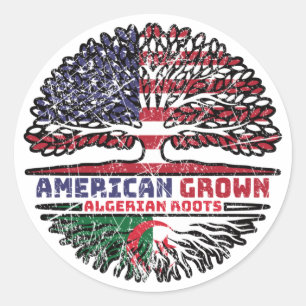 Algeria Algerian US American United States Runder Aufkleber