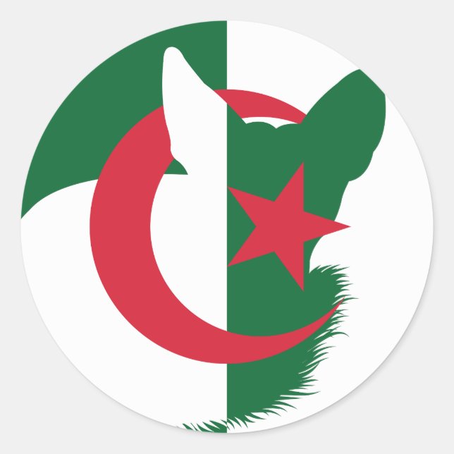 Algerien Fennec Fox Nationale algerische Tierflagg Runder Aufkleber (Vorderseite)