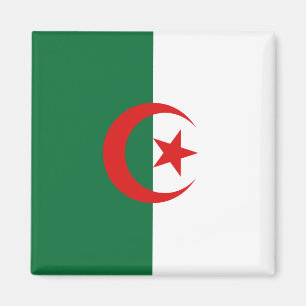 Algerien-Flaggen-Magnet Magnet