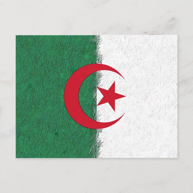 Algerien Postkarte (Vorderseite)