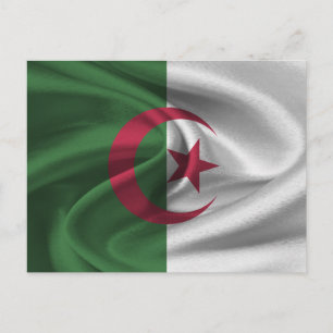 algerische Flagge Postkarte