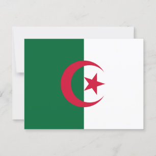 algerische Flagge Postkarte