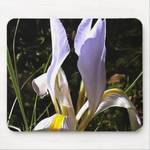 Algerische Iris Hyperrealistische Wildblume Malere Mousepad