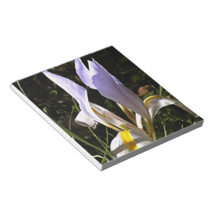 Algerische Iris Hyperrealistische Wildblume Malere Notizblock
