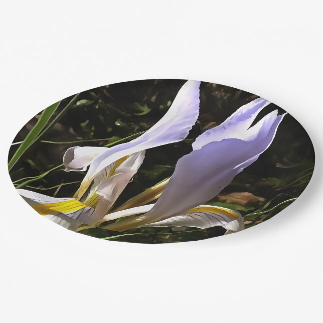 Algerische Iris Hyperrealistische Wildblume Malere Pappteller (Schrägansicht)