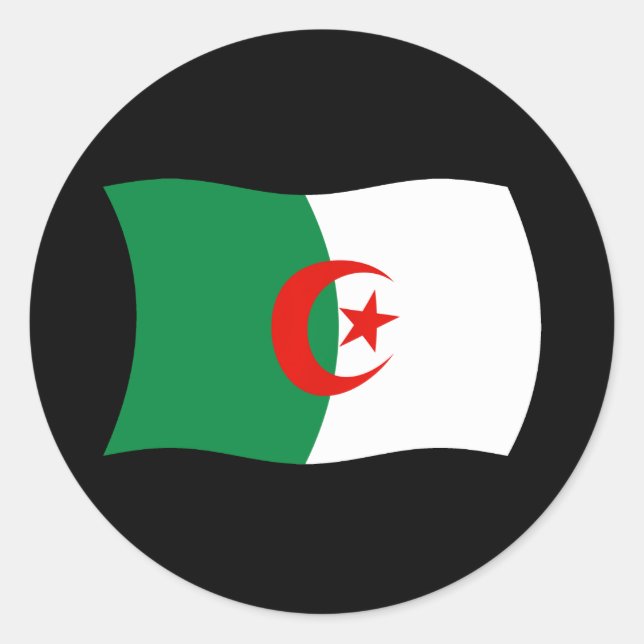 Algerischer Flaggenaufkleber Runder Aufkleber (Vorderseite)