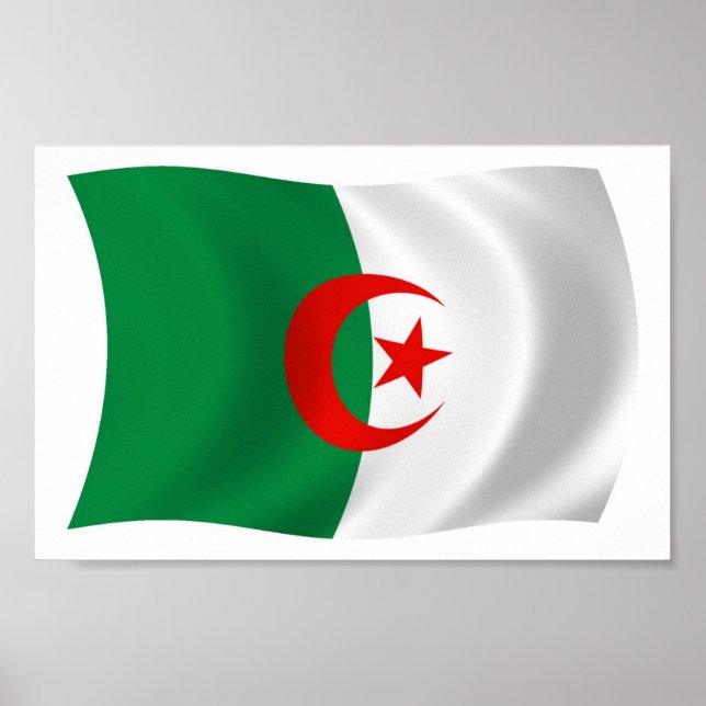 Algerisches Flaggenposter drucken Poster (Vorne)