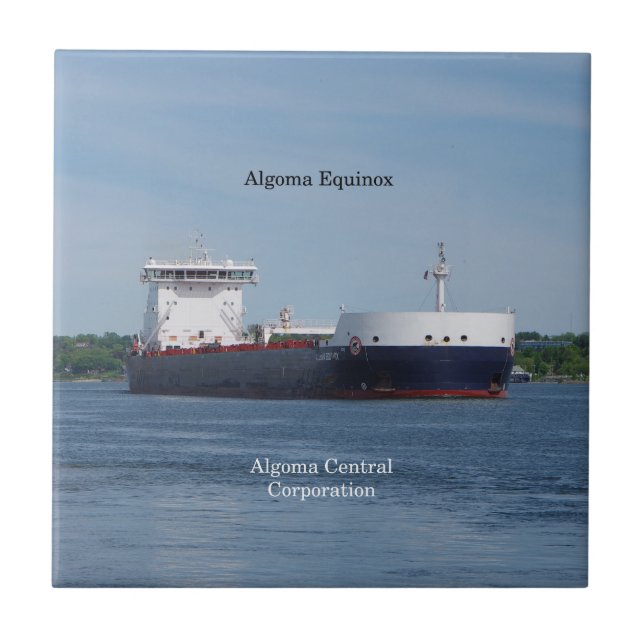 Algoma Equinox tile Fliese (Vorderseite)