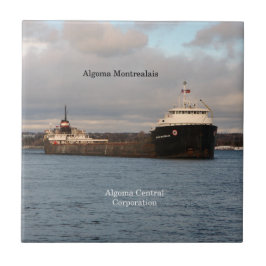 Algoma Montrealais Fliese