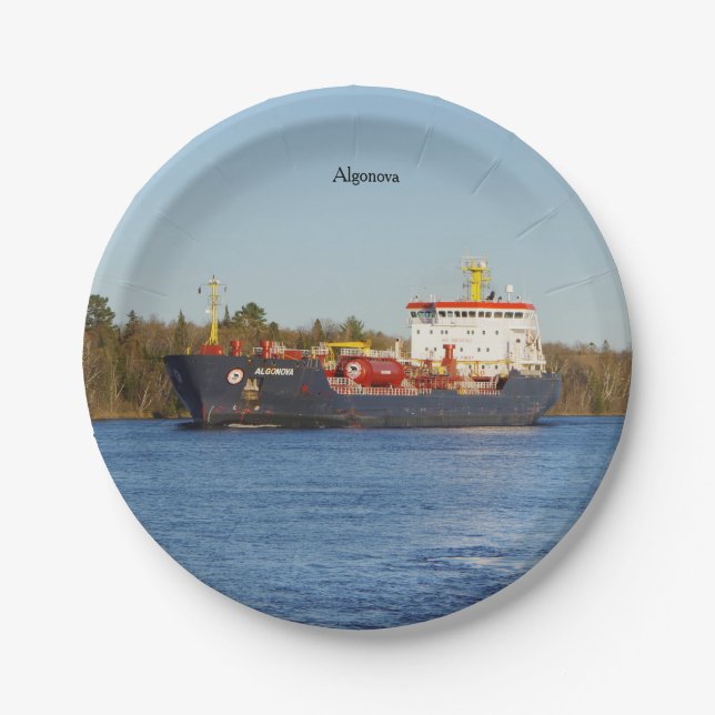 Algonova-Papierplatte Pappteller (Vorderseite)