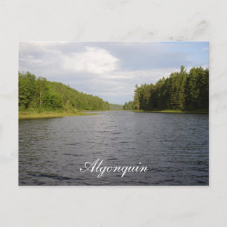 Algonquin Beauty Postkarte