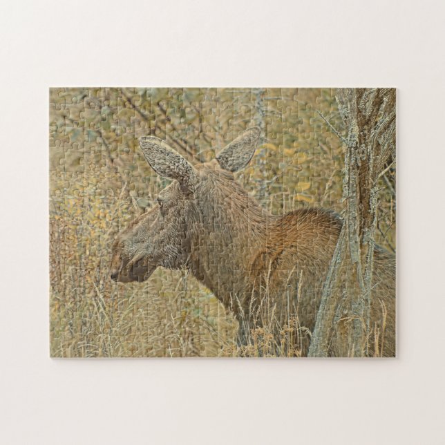Algonquin-Elch-Puzzle (Horizontal)