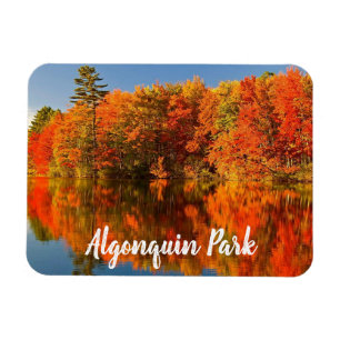 Algonquin Park Canada Stylierung Magnet