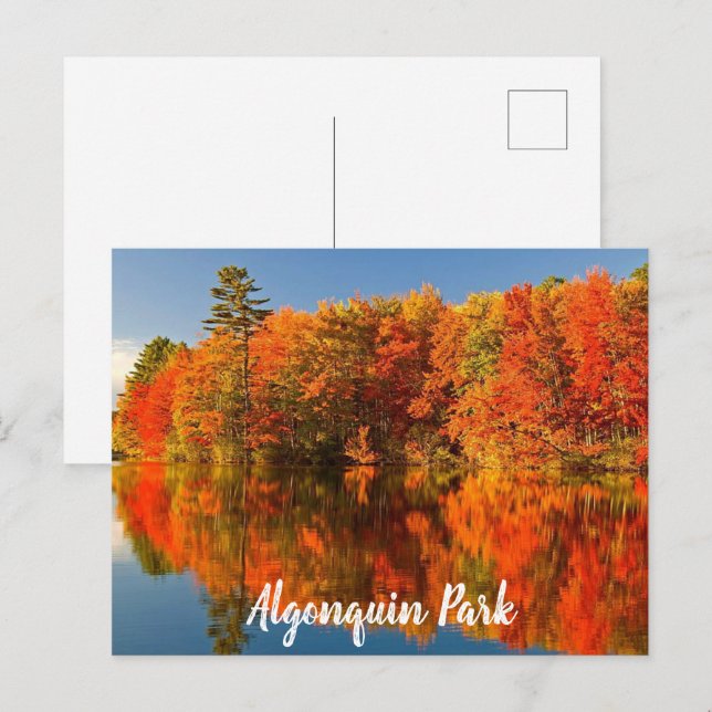 Algonquin Park Canada Stylierung Postkarte (Vorne/Hinten)