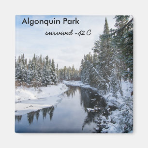 Algonquin-Park Magnet