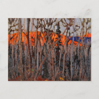 Algonquin Park Postkarte