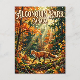 Algonquin Provincial Park Kanada Postkarte