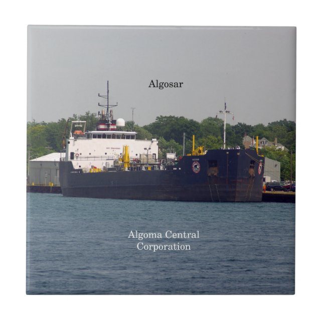 Algosar Fliese (Vorderseite)