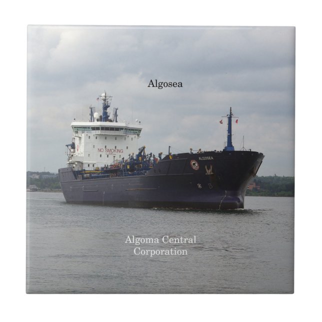 Algosegel Fliese (Vorderseite)