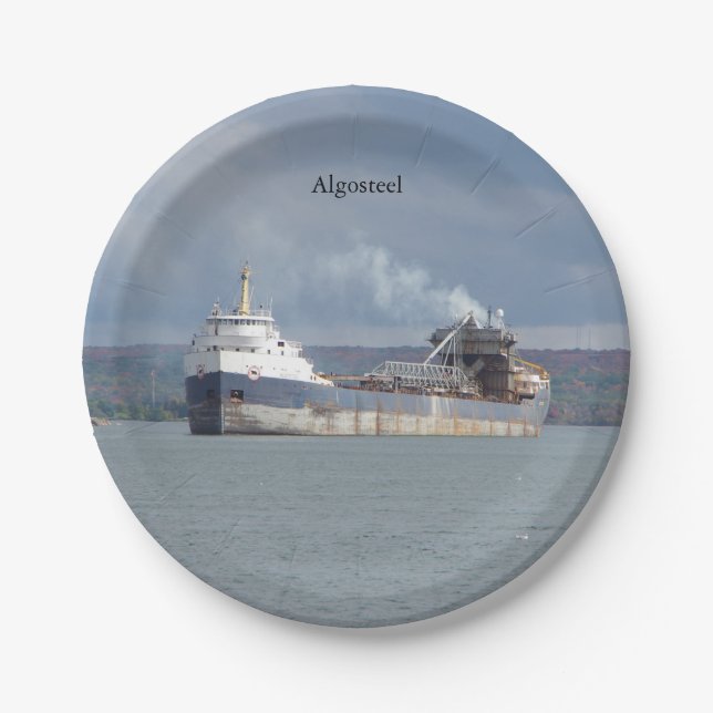 Algostahlblech Pappteller (Vorderseite)
