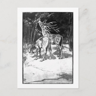 Alice B. Woodward : Carte postale de l'art Cervus