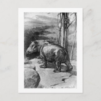 Alice B. Woodward : Carte postale de l'art Corypho