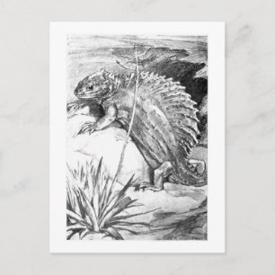 Alice B. Woodward: Edaphosaurus Art Postcard Postkarte